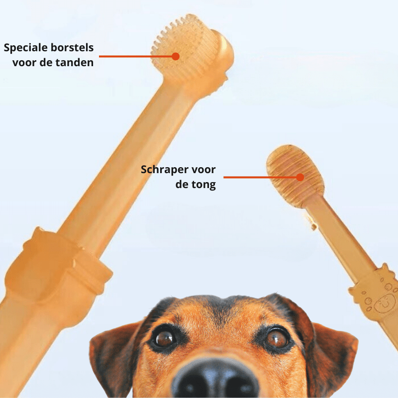  Doggydent-gentle silicone toothbrush for dogs & cats-5