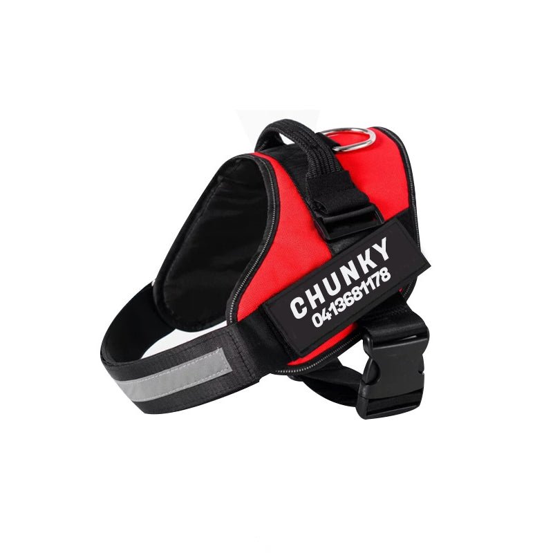 DogSafe harness - personalized dog harness for comfort & security 11