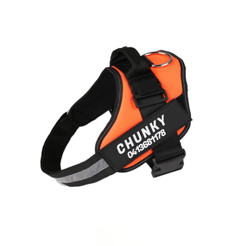 DogSafe harness - personalized dog harness for comfort & security 9