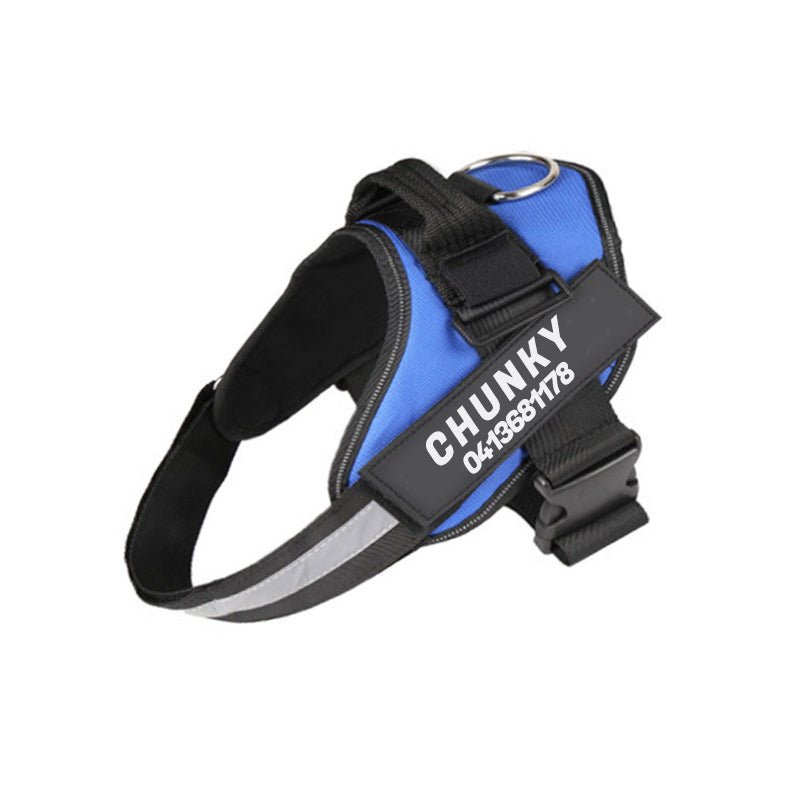 DogSafe harness - personalized dog harness for comfort & security 0