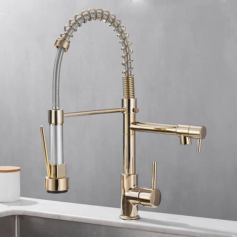 Dualflow Kitchen Tap-modern kitchen tap with double pouring & elegant black and gold finish 1
