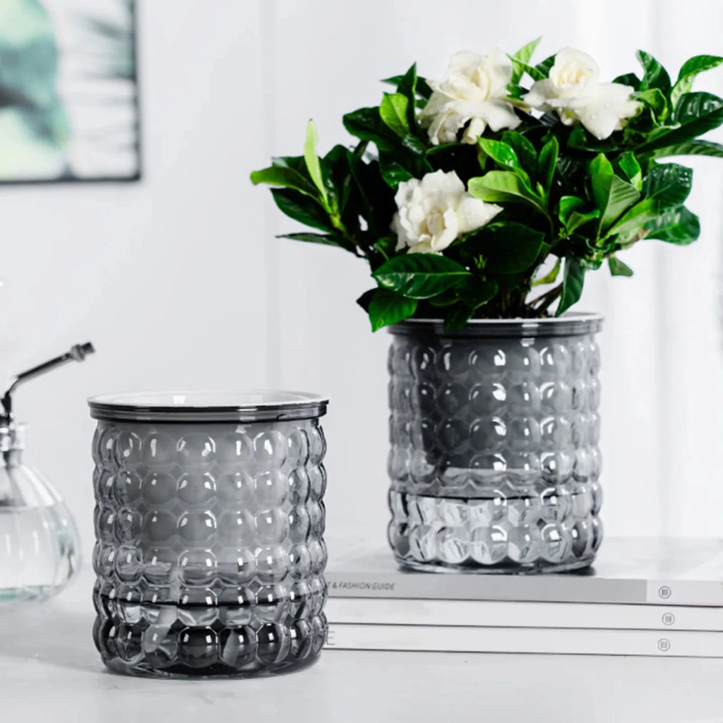 Eco-Friendly Self-Watering Hydroponic Flower Pot - Modern Plant Pot for Home Decor 5