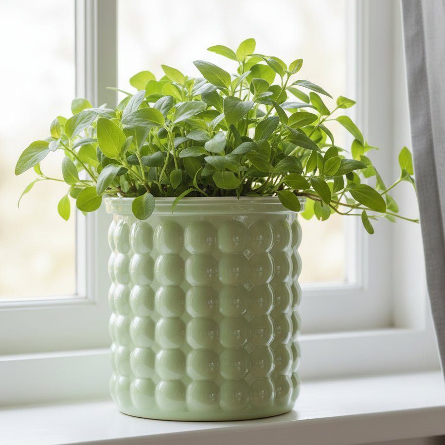 Eco-Friendly Self-Watering Hydroponic Flower Pot - Modern Plant Pot for Home Decor 8