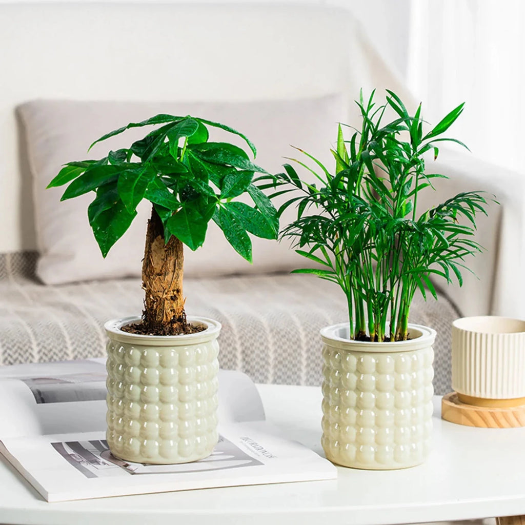 Eco-Friendly Self-Watering Hydroponic Flower Pot - Modern Plant Pot for Home Decor 2