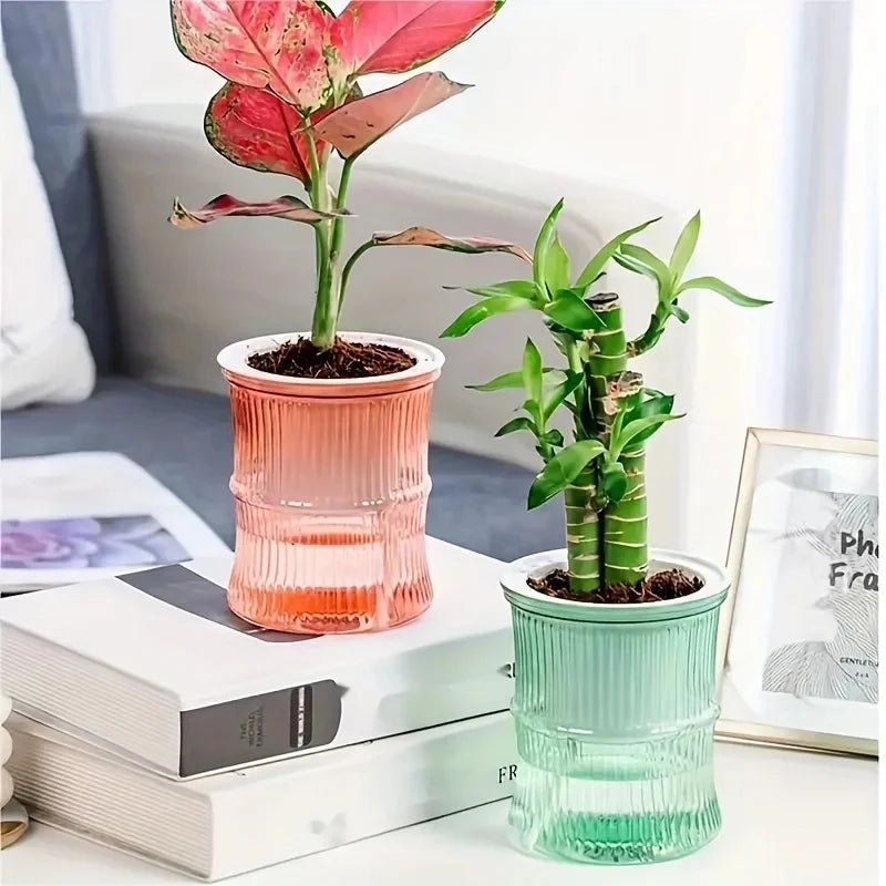 Eco-Friendly Self-Watering Indoor Planter - Double Layer Hydroponic Flower Pot 2