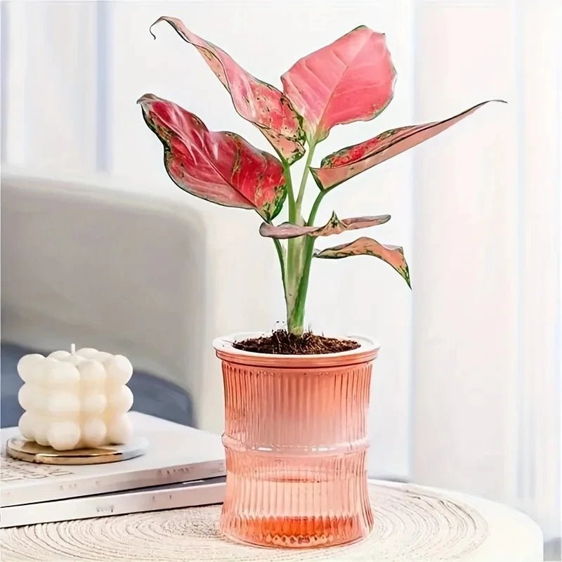 Eco-Friendly Self-Watering Indoor Planter - Double Layer Hydroponic Flower Pot 8