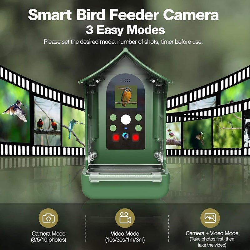 SKYFEED – Smart Bird Feeder with HD Camera for Wildlife Observation 5