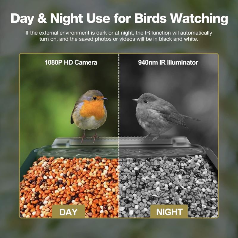 SKYFEED – Smart Bird Feeder with HD Camera for Wildlife Observation 2