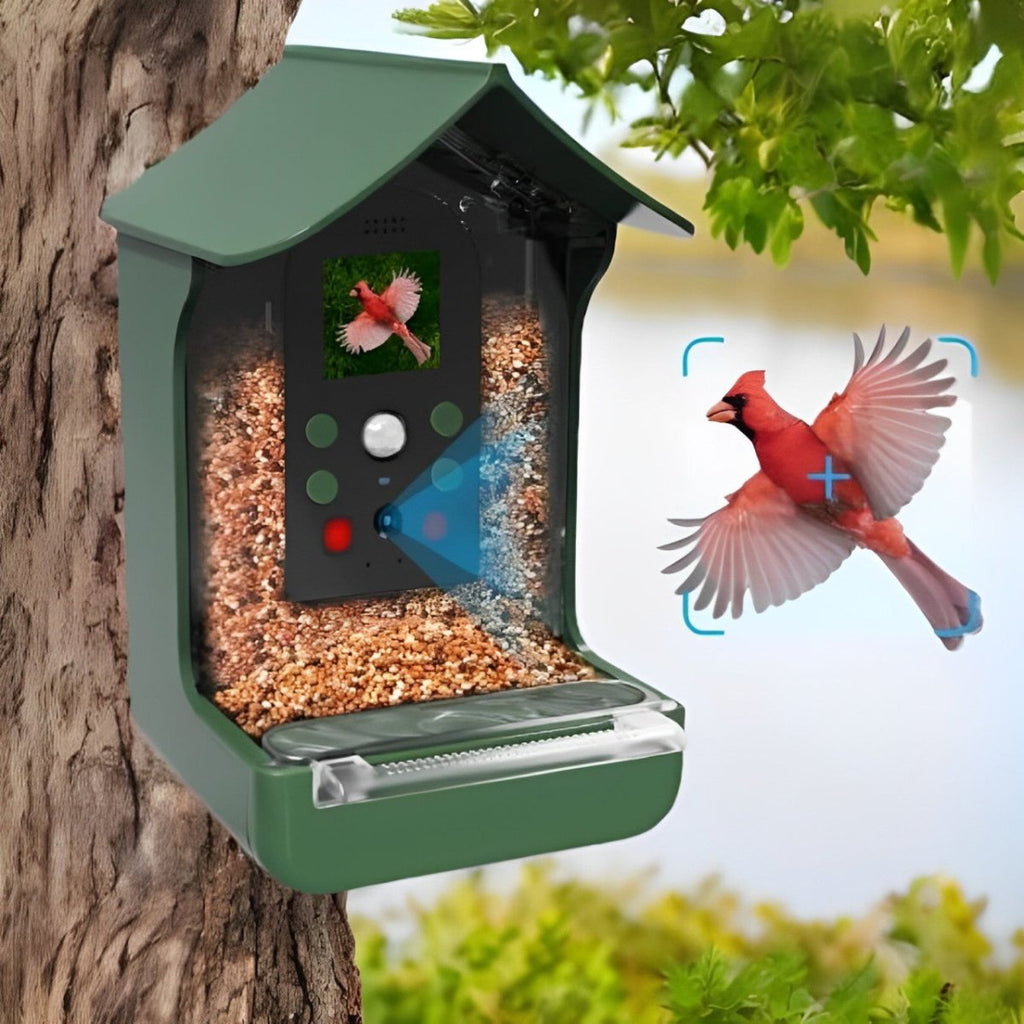 SKYFEED – Smart Bird Feeder with HD Camera for Wildlife Observation 0