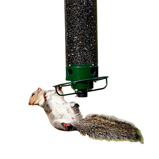 FEEDERGUARD – Casa de Pássaros à Prova de Esquilos para o Jardim
