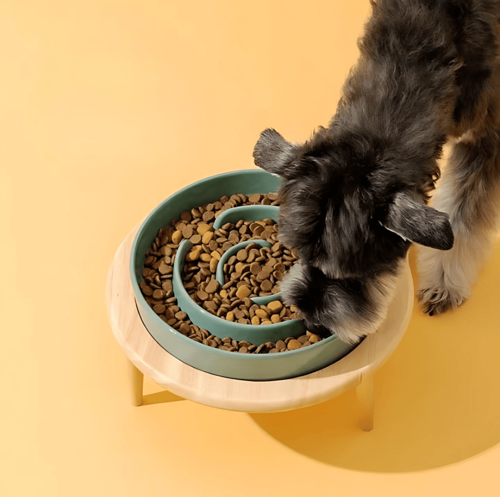 Feedoforma - Premium Slow feeder bowl for pets-5