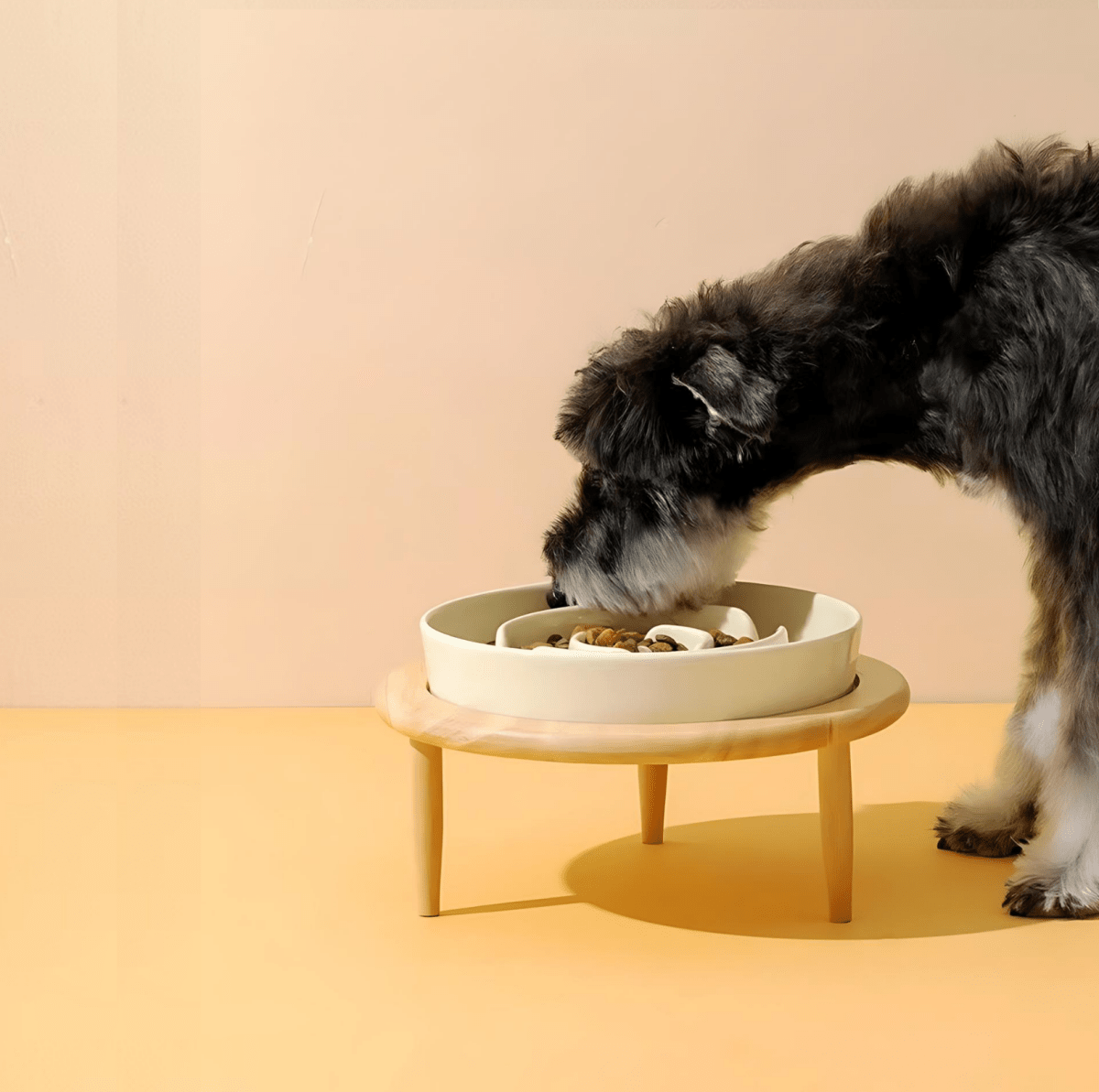  Feedoforma - Premium Slow feeder bowl for pets-6