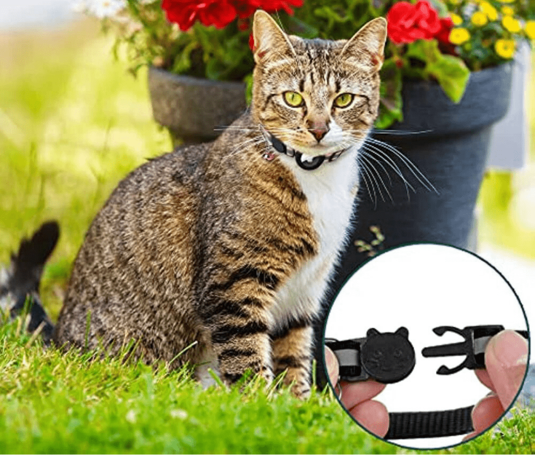 FELITRACK – Collier traceur GPS pour chat avec design réfléchissant