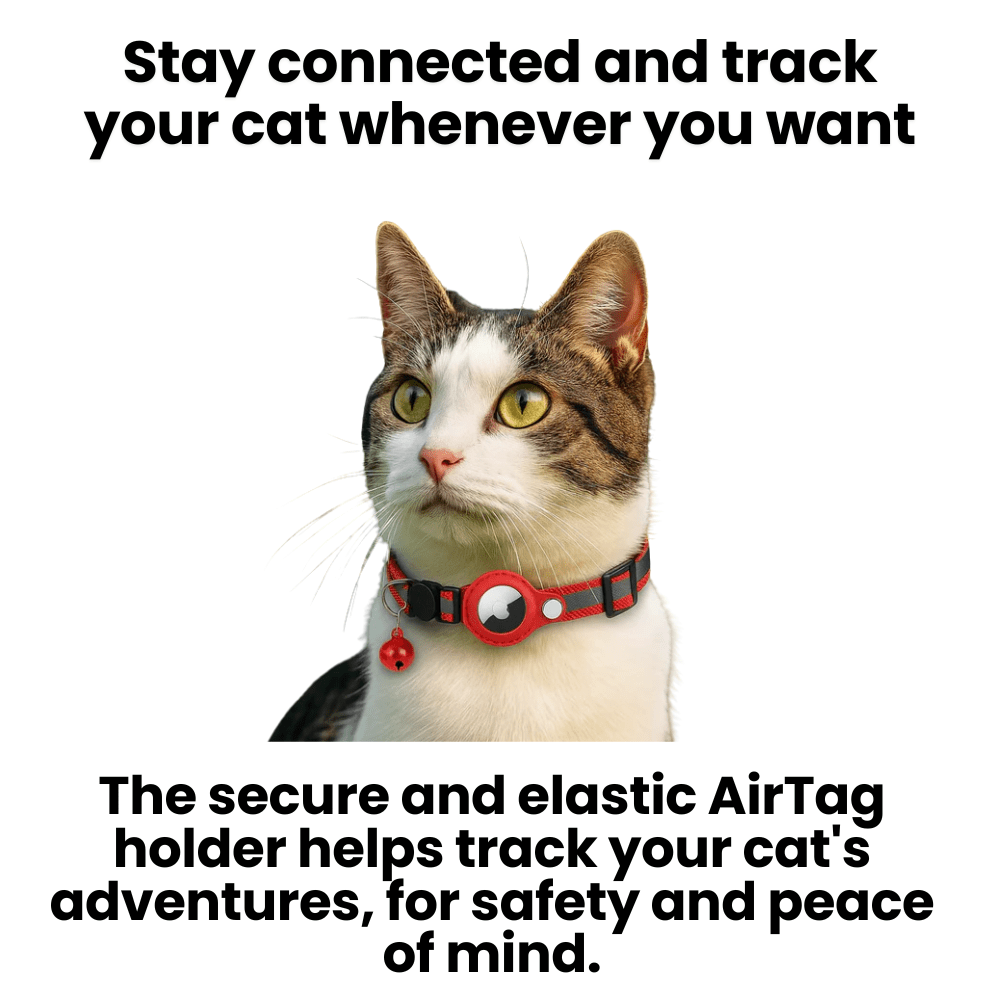 FELITRACK – Collier traceur GPS pour chat avec design réfléchissant