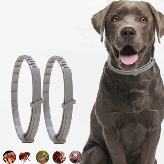  Flashield Collar- flea and tick protection for dogs & cats-1
