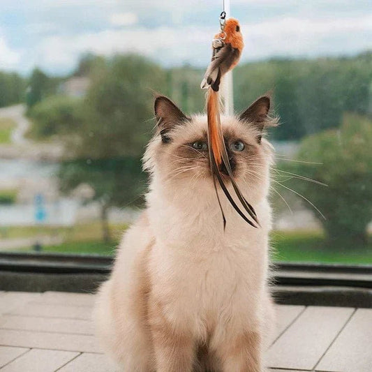  Flatter friend - interactive cat toys with realistic bird movements-4