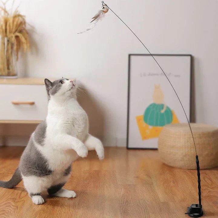  Flatter friend - interactive cat toys with realistic bird movements-6