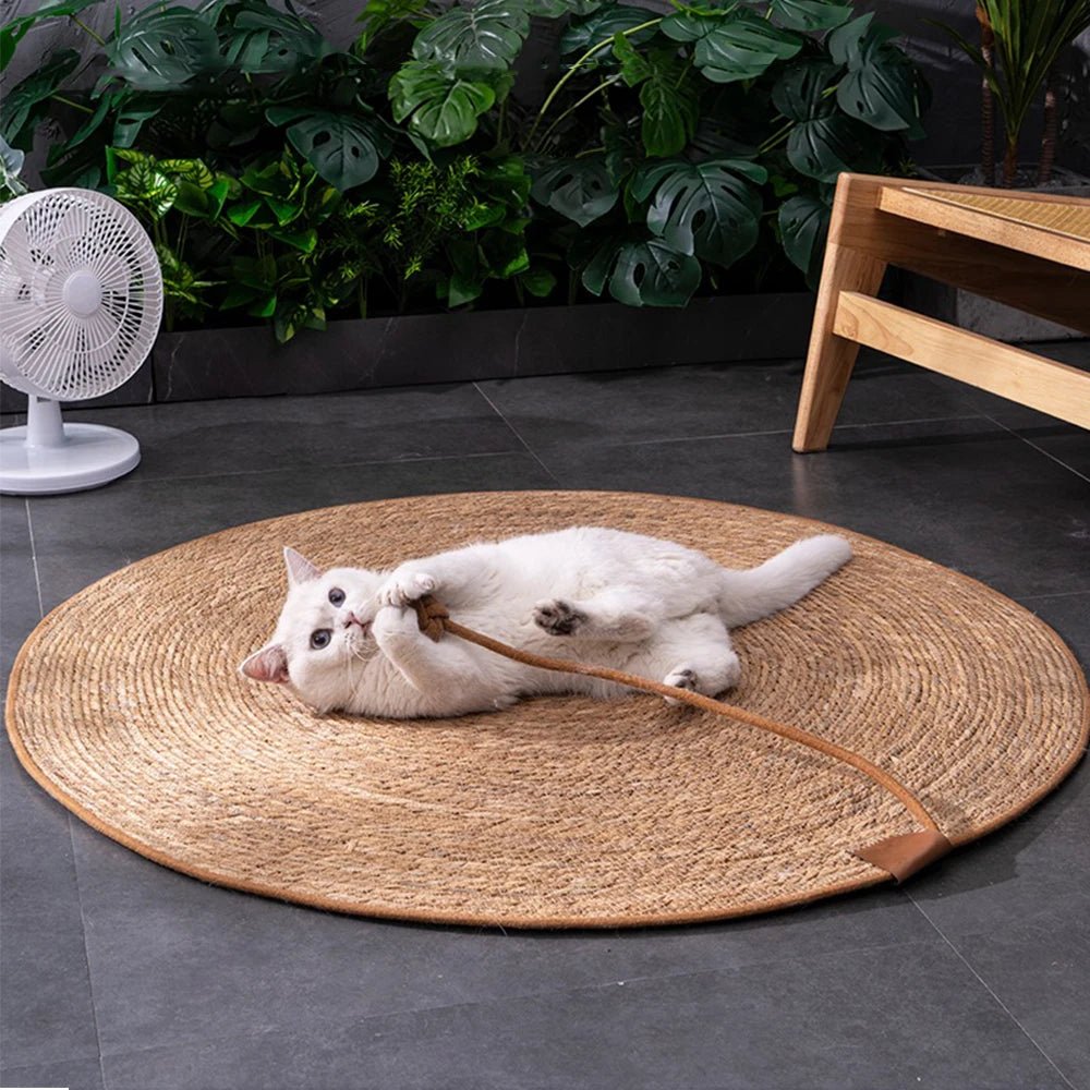 CLAWCARE – Eco-Friendly Rattan Cat Scratcher Mat for Healthy Nails and Furniture Safety 2