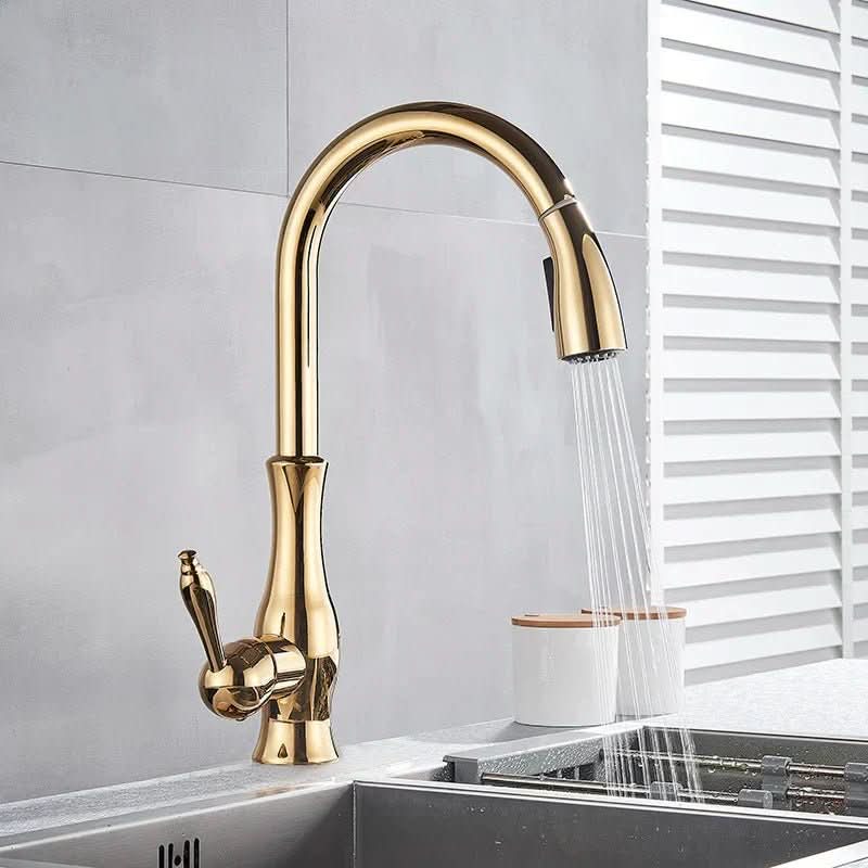 Goldstream Kitchen Mixer - luxurious kitchen tap with extendable shower & shooting function in the golden finish 1