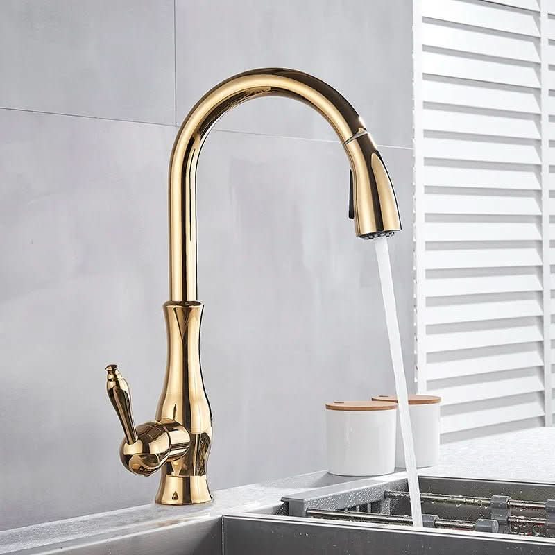 Goldstream Kitchen Mixer - luxurious kitchen tap with extendable shower & shooting function in the golden finish 4