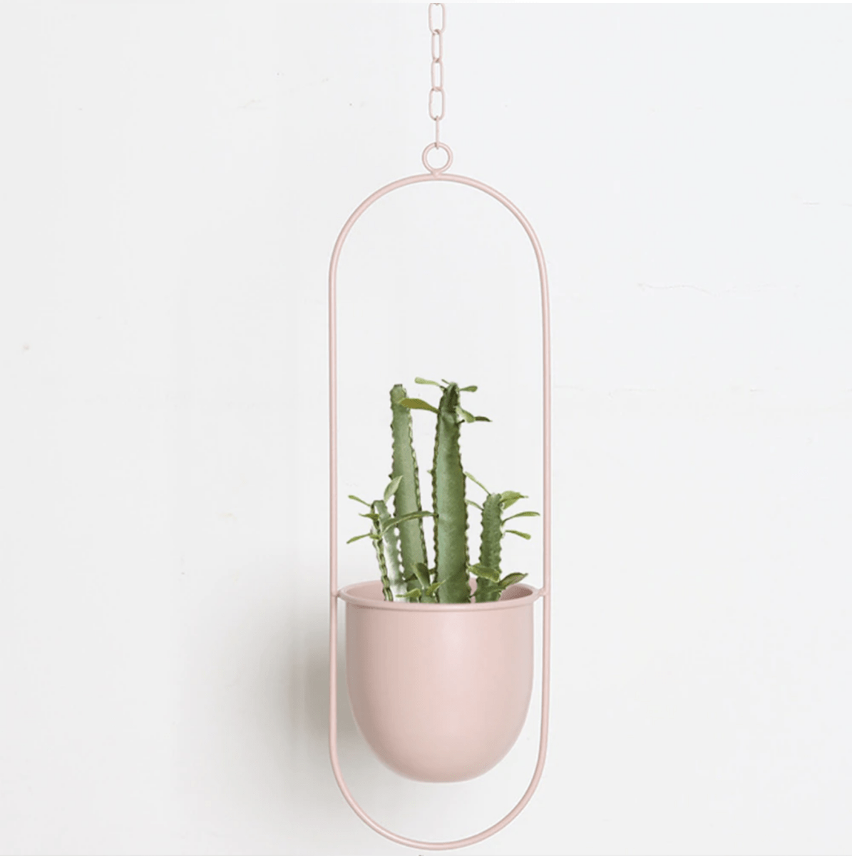 PLANTFORM – Modern Minimalist Wall Plant Hanger with Adjustable Chain for Clean Interior Styling 7