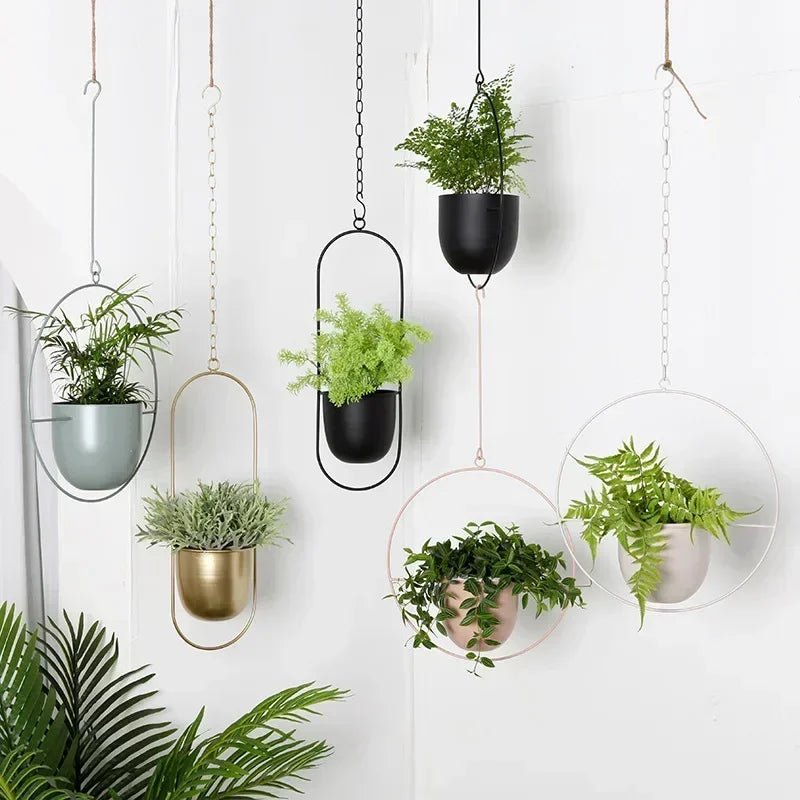 PLANTFORM – Modern Minimalist Wall Plant Hanger with Adjustable Chain for Clean Interior Styling 2