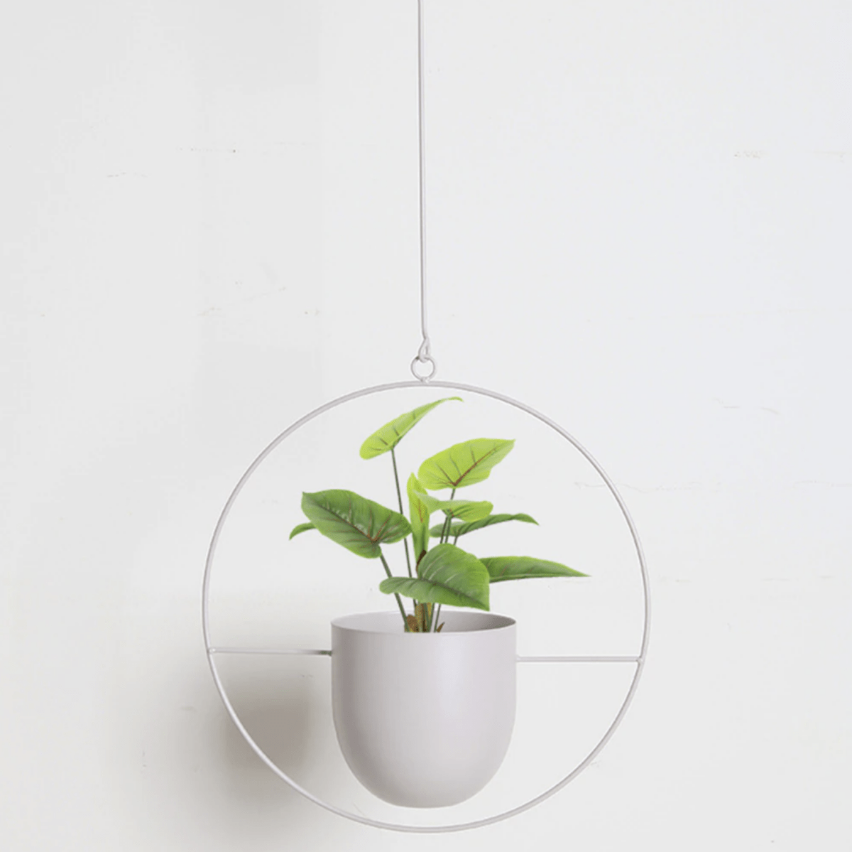 PLANTFORM – Modern Minimalist Wall Plant Hanger with Adjustable Chain for Clean Interior Styling 10