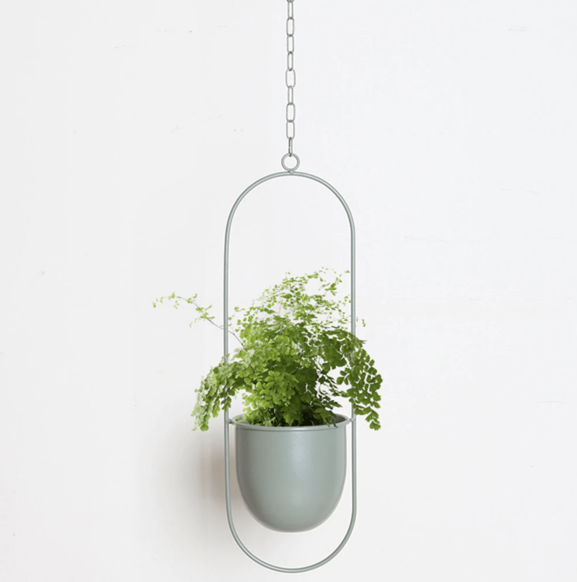 PLANTFORM – Modern Minimalist Wall Plant Hanger with Adjustable Chain for Clean Interior Styling 8