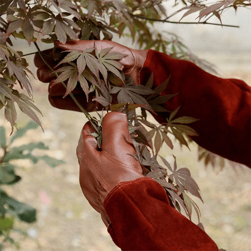 Premium Garden Gloves - Durable Elastic Wristband for Comfort & Protection 4