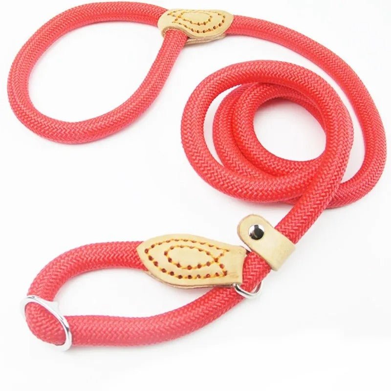 Guillaume Laisse - Robust dog leash made of climbing rope for a safe stop on every walk-4