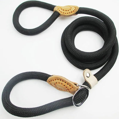  Guillaume Laisse - Robust dog leash made of climbing rope for a safe stop on every walk-5