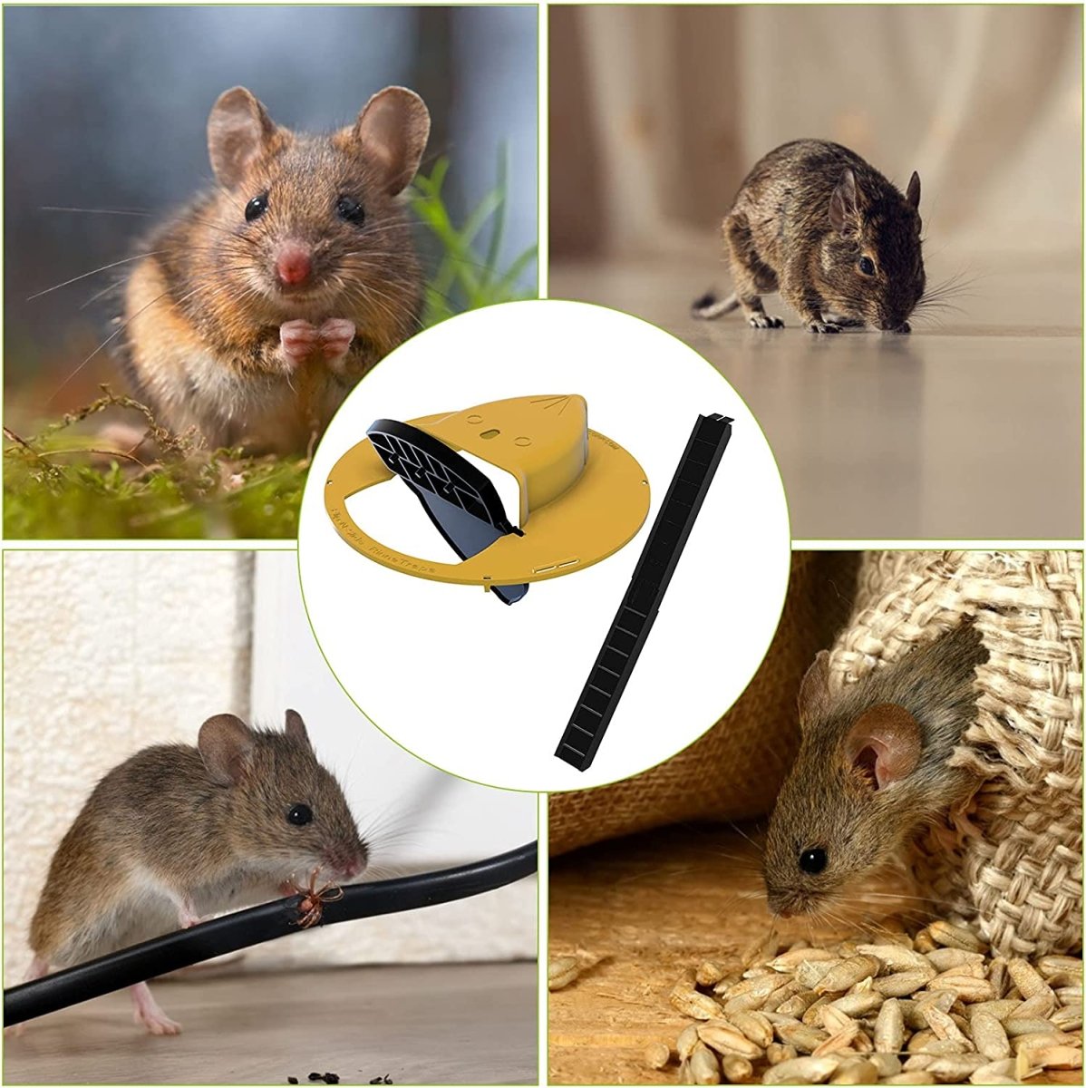 Humane Mouse Trap Bucket Lid – Safe and Effective Mice Trap Compatible with Standard Buckets for Easy Rodent Control-4