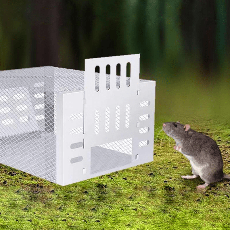Humane Mouse Trap for Safe and Efficient Pest Control – Reusable Design for 10-15 Mice Capture-3
