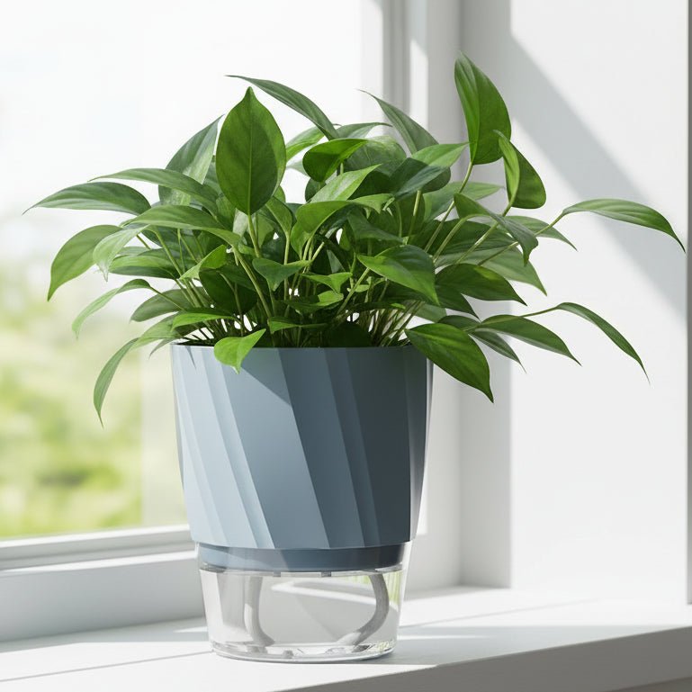 HydroPlanter - Self-Watering Plastic Flowerpot for Soilless Indoor Gardening 8