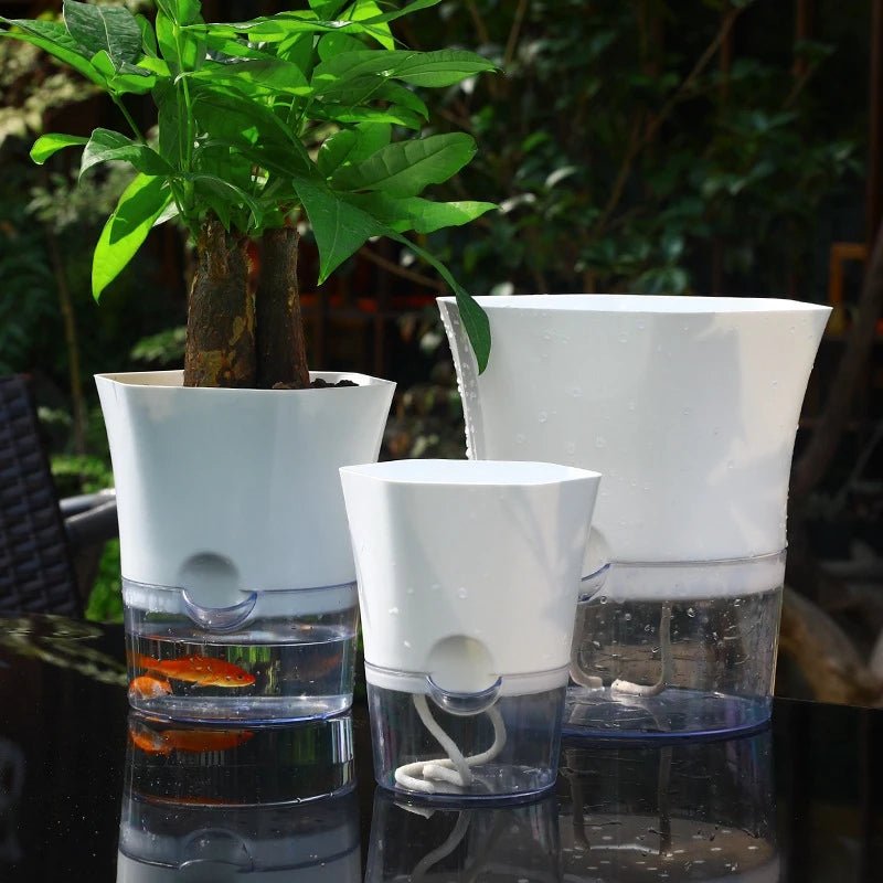 HydroPlanter - Self-Watering Plastic Flowerpot for Soilless Indoor Gardening 0