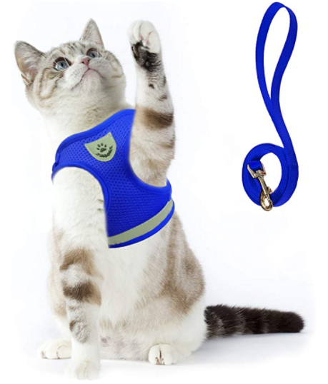 Variant image for Blue