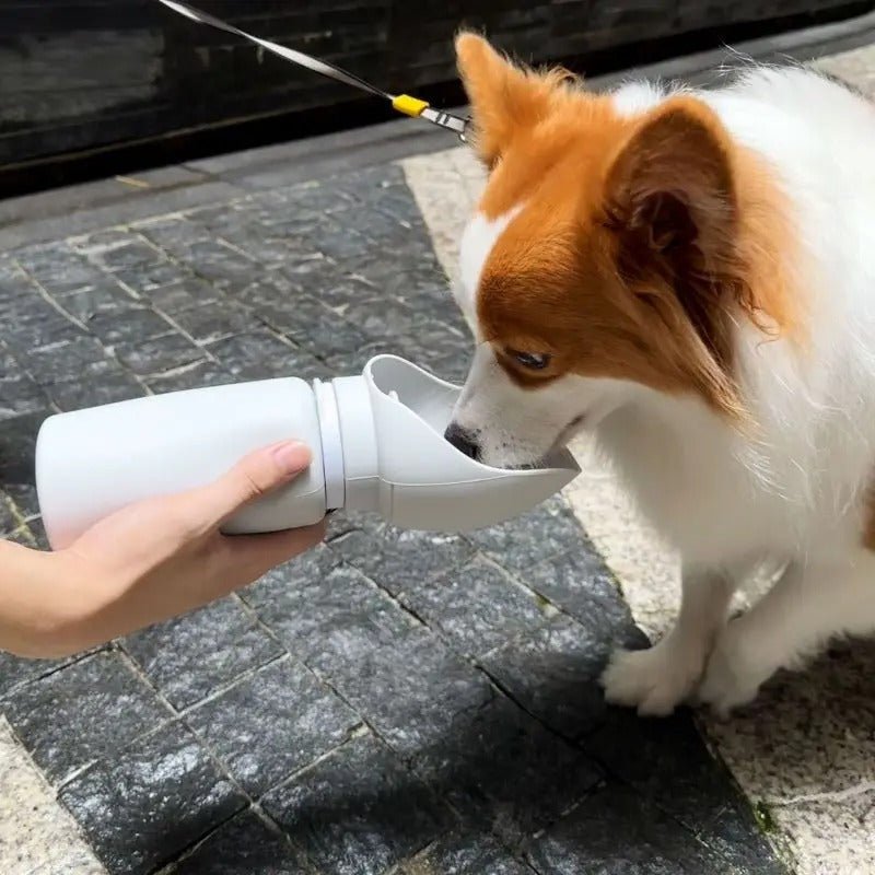  Léo Voyageur - foldable water bottle for pets with 550ml volume-4