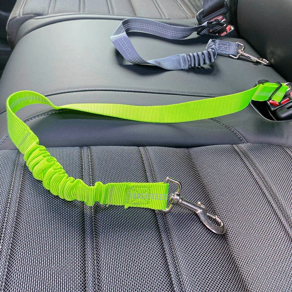  Louis Safety - adjustable seat belt for dogs in the car-4