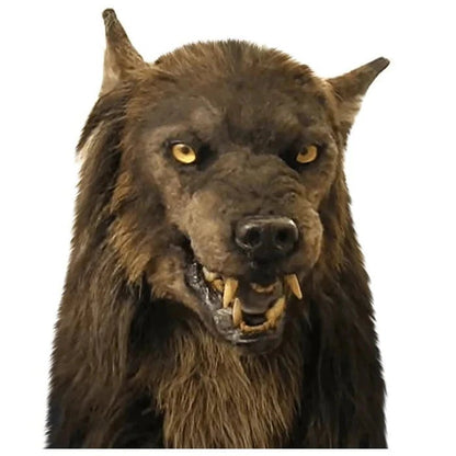 LUPINMASK – Máscara realista de hombre lobo para Halloween y cosplay