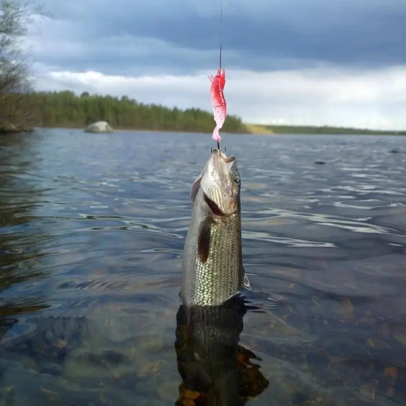 LUREBOX ADVENT CALENDAR – 24 Fishing Lures for Exciting Holiday Countdown