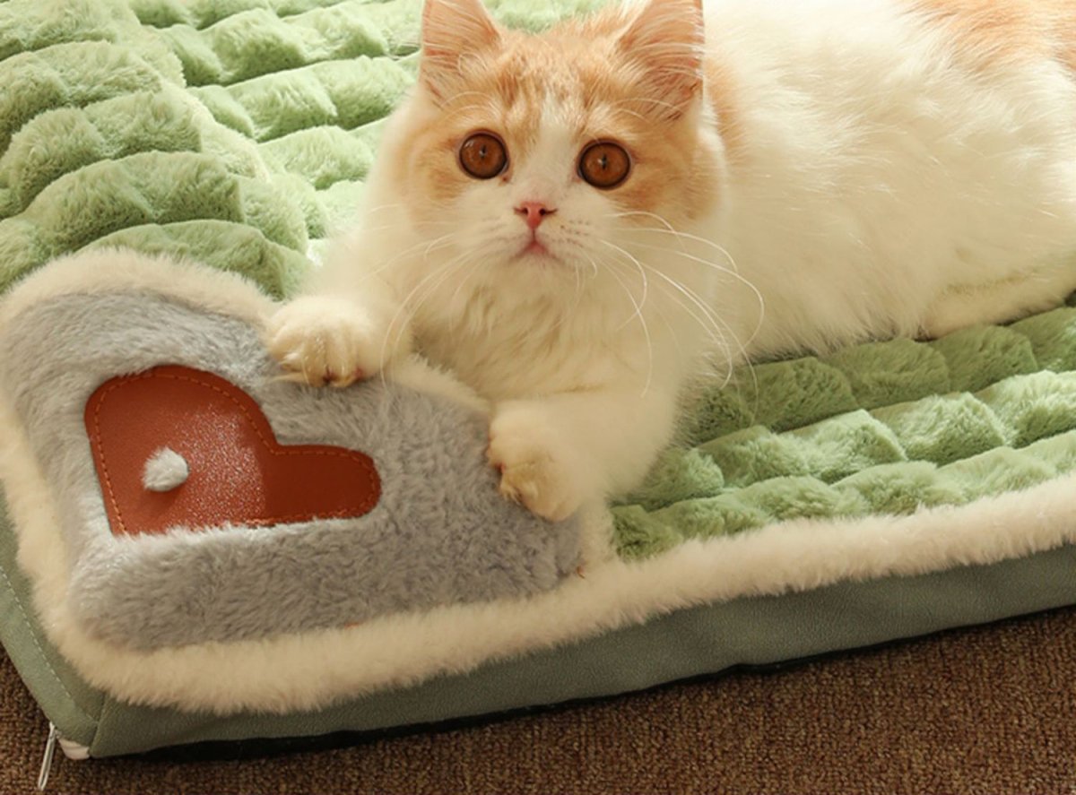  Luxeplush - soft dog bed for small & medium -sized dogs-5