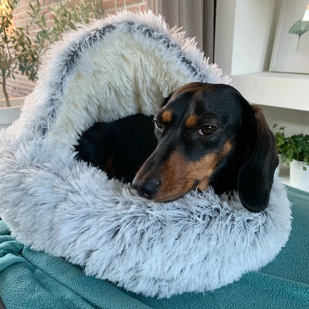  Luxury Couple’s Pet Bed - Luxurious Pet Bed for Ultimate Comfort-3