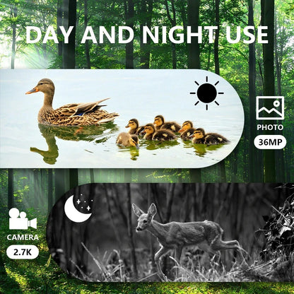 NightPulse – Night vision binoculars with infrared technology & recording function