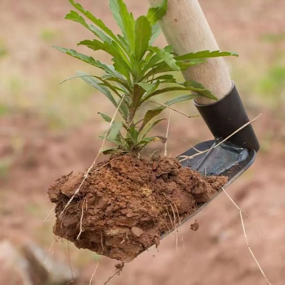 Durable Manganese Steel Garden Hoe for Weeding, Digging, and Planting 3