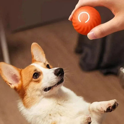 MAXIME JOUEUR – Bola Interativa Inteligente para Cães