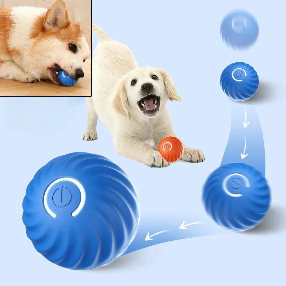  Maxime Joueur - intelligent, jumping game ball for active dogs-5