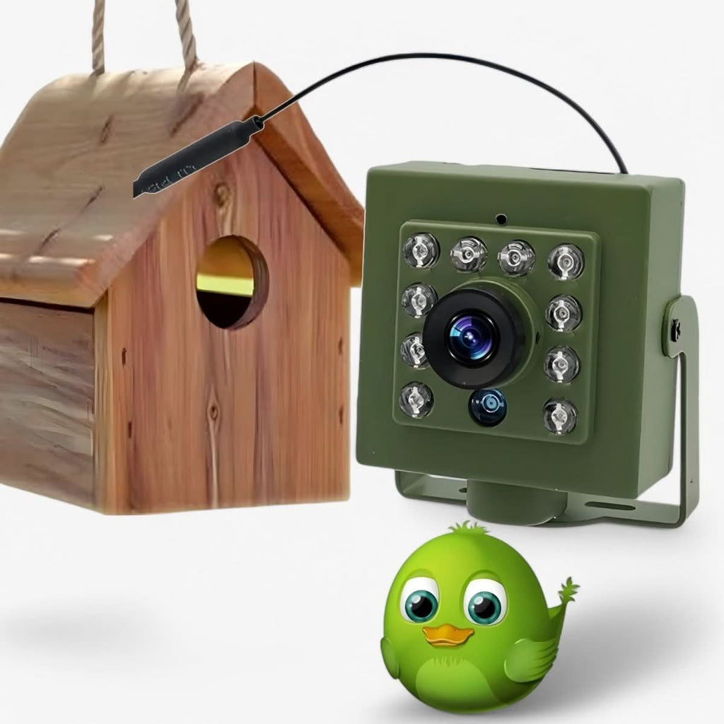  Nestcam WLAN camera-1080p HD & weatherproof for impressive bird observations-2