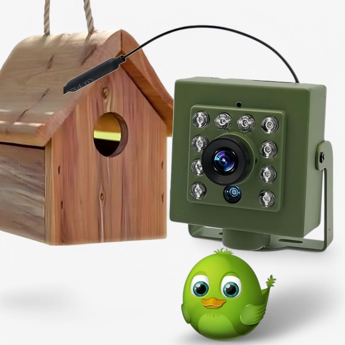  Nestcam WLAN camera-1080p HD & weatherproof for impressive bird observations-2