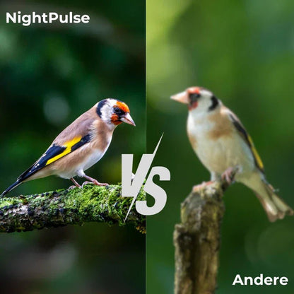 NightPulse – Nočné videnie ďalekohľad s infračervenou technológiou a funkciou nahrávania
