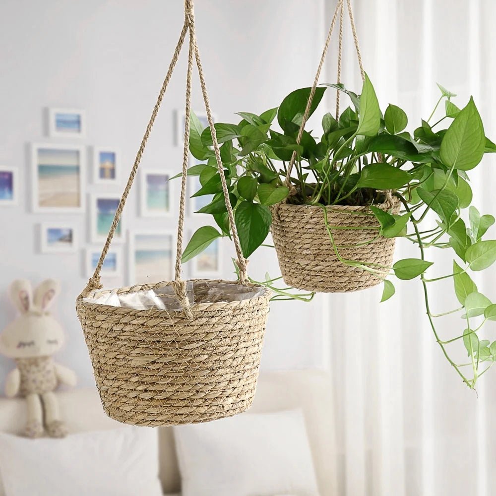 BOTANICA – Rustic Handwoven Twine Macrame Hanging Planter for Orchids and Indoor Plants 0